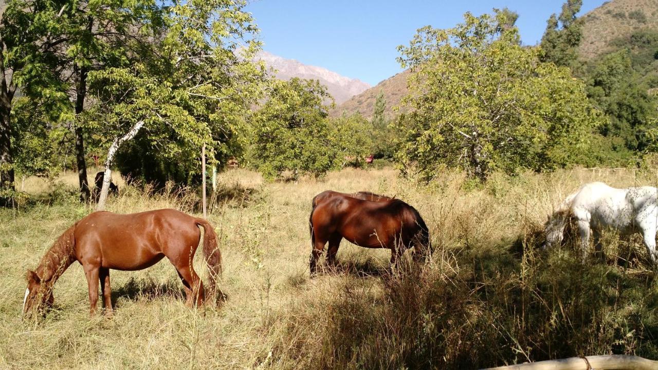 Cascada Lodge Cajon Del Maipo San José de Maipo Exterior foto
